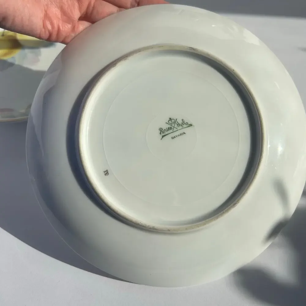 Rosenthal Bavaria Fruit Plates Apple Pear Gold Gilt Germany